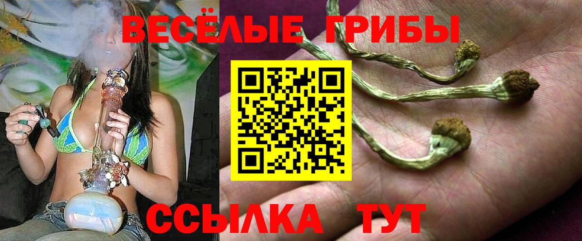 Псилоцибиновые грибы MAGIC MUSHROOMS  Галлюциногенные грибы Psilocybe  Вход с VPN  Усинск 